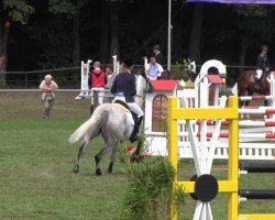 broodmare Gräfin Thea (Hanoverian, 2005, from Graf Top)