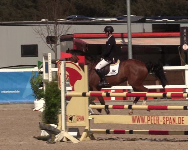 Reitturnier Ladelund 2021