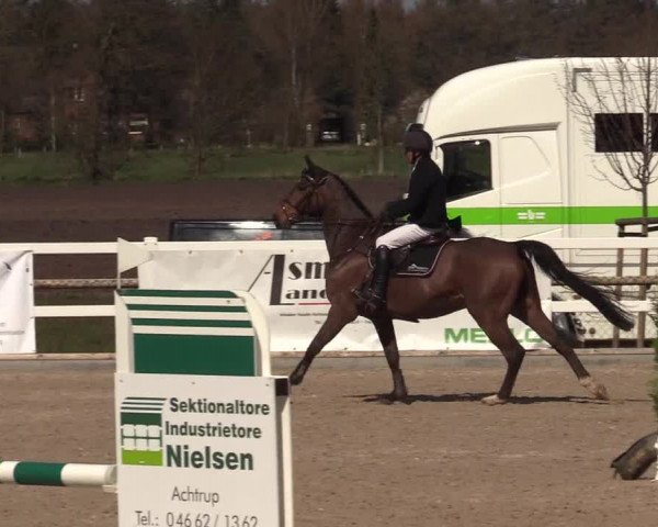 Reitturnier Ladelund 2021
