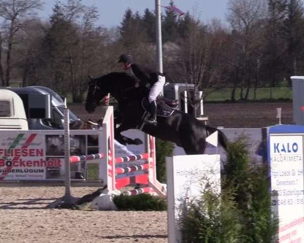 Reitturnier Ladelund 2021