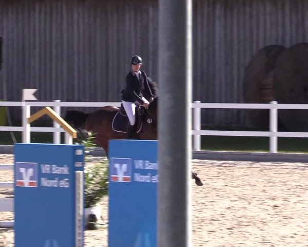 Reitturnier Ladelund 2021