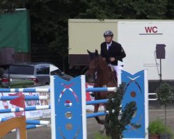 broodmare Cesanne 5 (Oldenburg show jumper, 2002, from Cento)