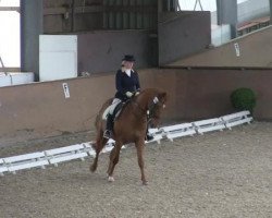 dressage horse Lugano (Westphalian, 2000, from Laurentianer)