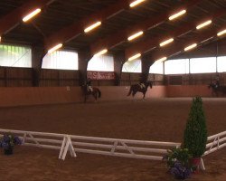 dressage horse Rubin Noir 8 (Hanoverian, 2003, from Rubin Royal OLD)