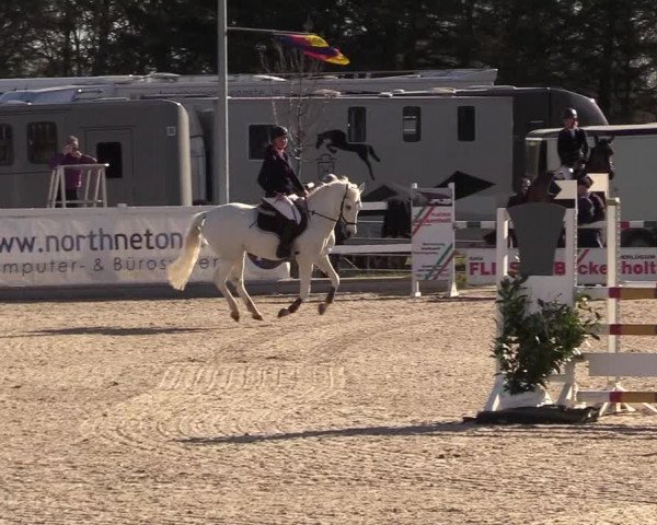 Reitturnier Ladelund 2021