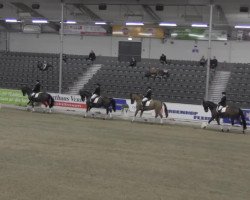 dressage horse Bulgary 2 (Hanoverian, 1996, from Brentano II)