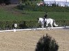 dressage horse White Coffee (Hanoverian, 1998, from Weltruhm)