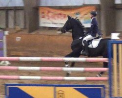 jumper Iason 3 (Trakehner, 1999, from Schiffon)