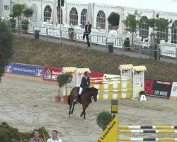 stallion Chopard (KWPN (Royal Dutch Sporthorse), 1985, from Canaris)