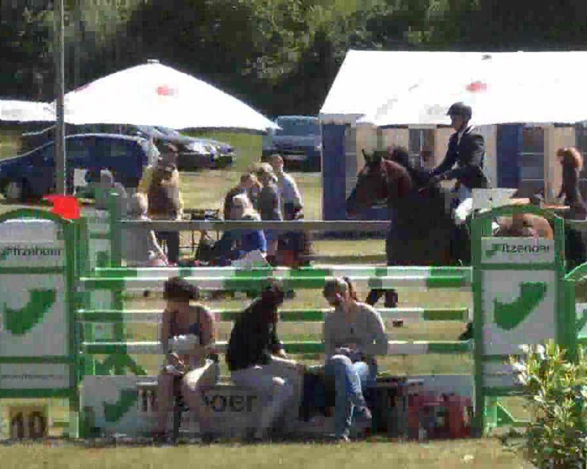 stallion Lopez JF (Holsteiner, 1989, from Lord)