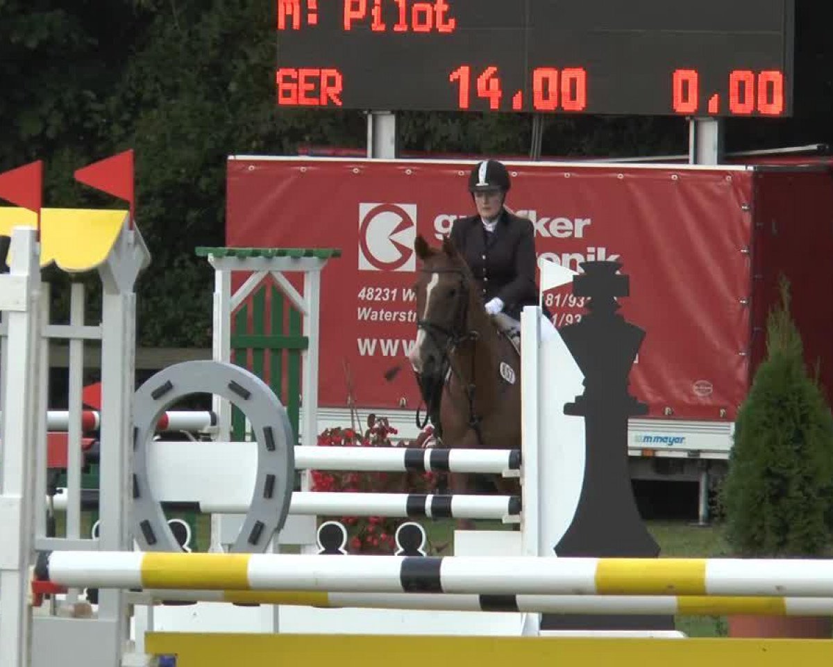 jumper Springsteen 4 (Hanoverian, 2002, from Stakkato)