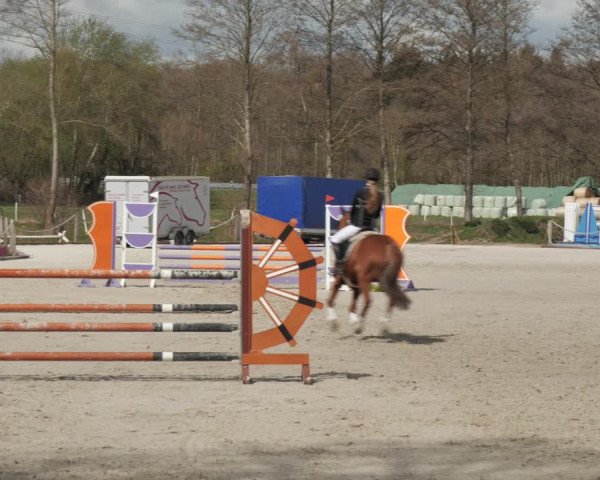 Reitturnier Handorf 2021