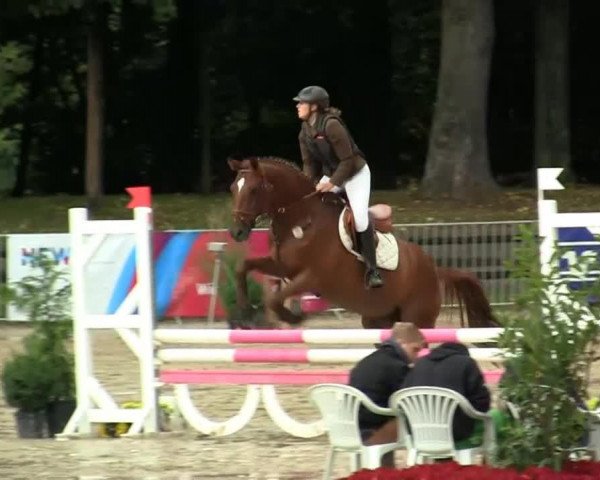 Springpferd Lucky Luke (Polnisches Warmblut, 1986)