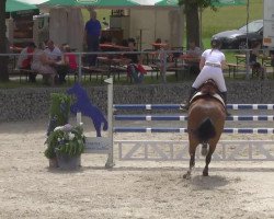 jumper Lord of Diamond (Oldenburg show jumper, 2002, from Lasino)