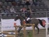 jumper Ashanty 15 (German Warmblood, 1998, from Aquarell)