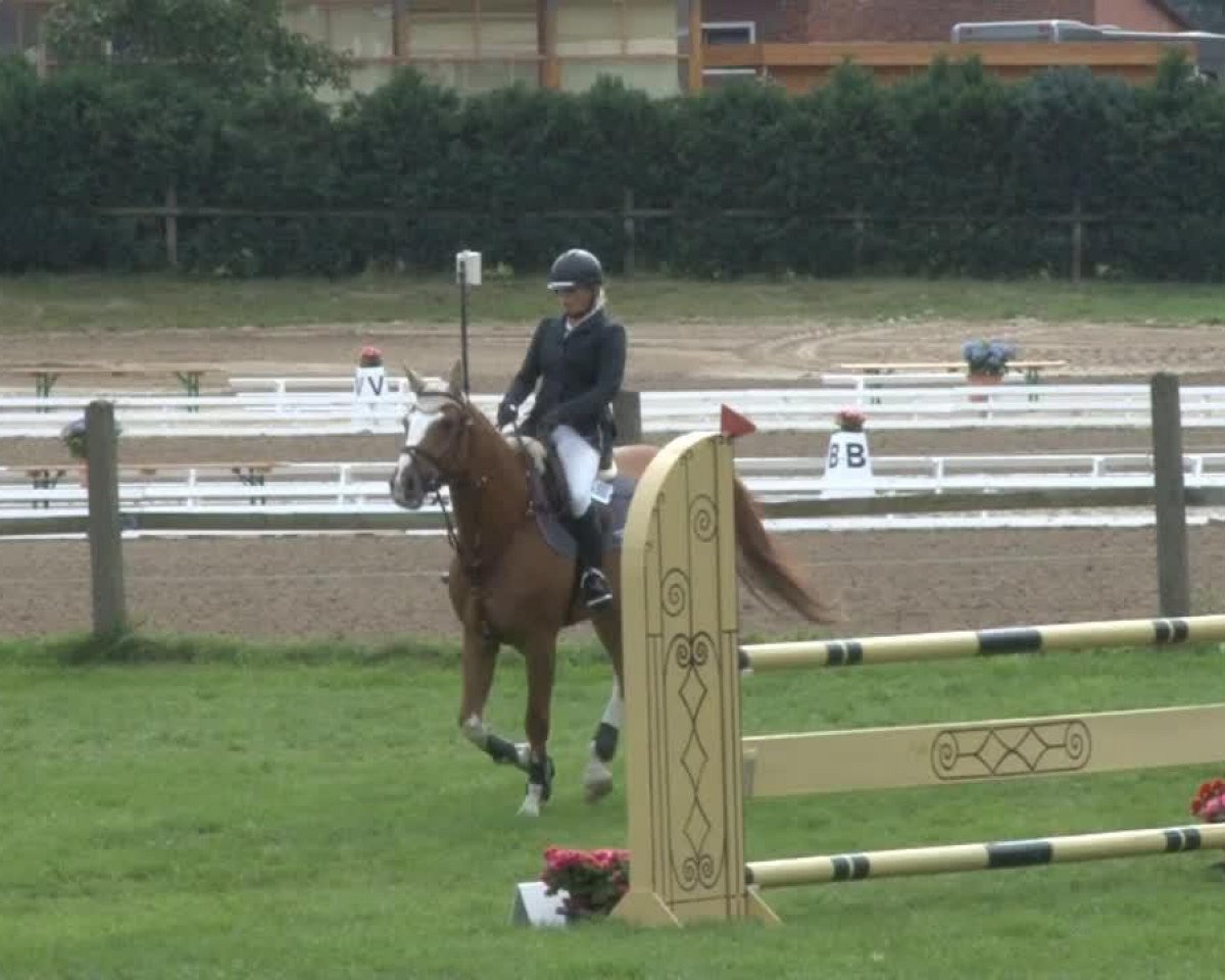 jumper Quidam's Boy 2 (Hanoverian, 2007, from Quidam de Revel)