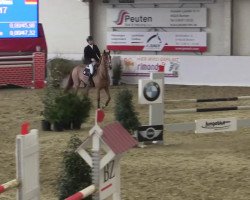 broodmare For Success 2 (Oldenburg show jumper, 2005, from For Pleasure)