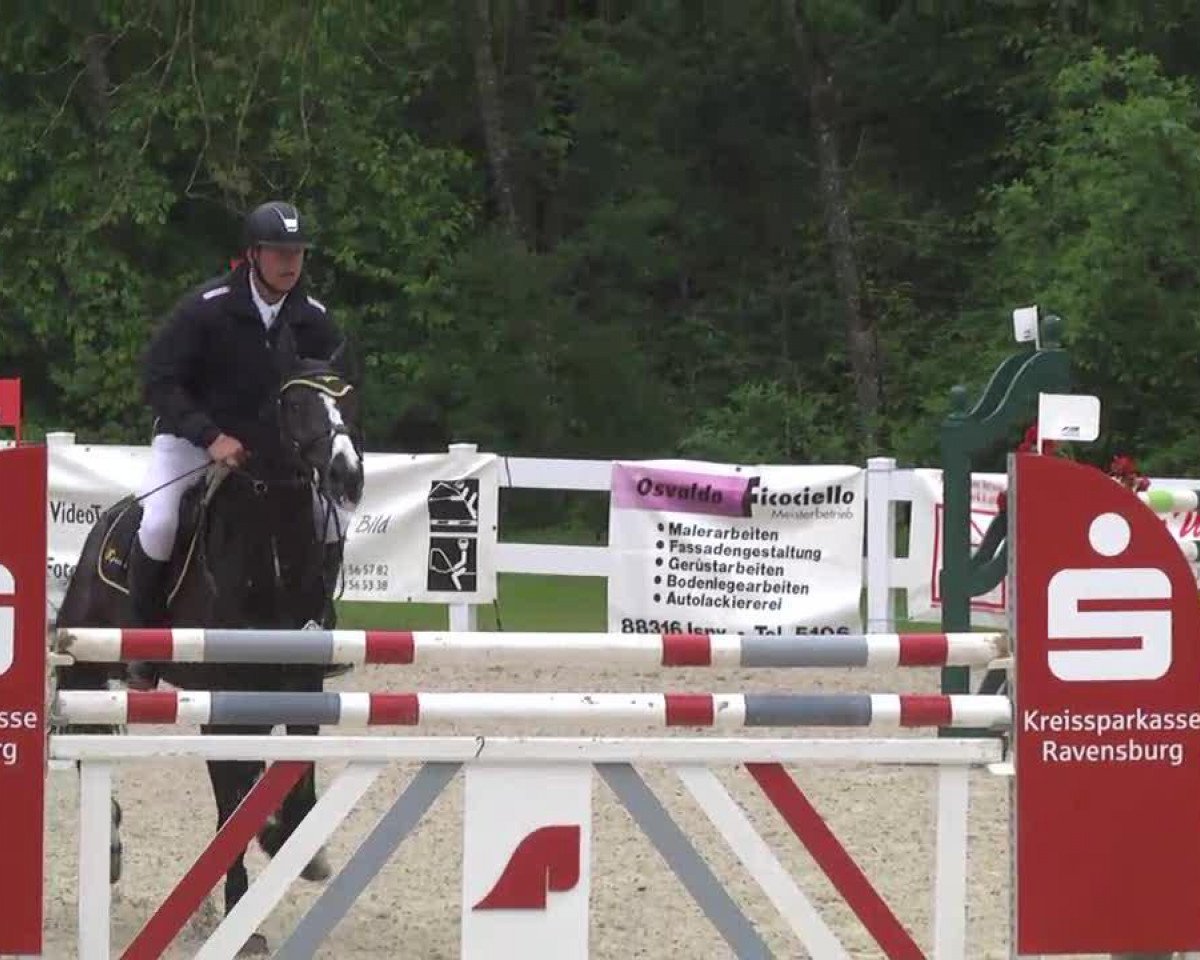 jumper Baloubinho (Bavarian, 2007, from Balou du Rouet)