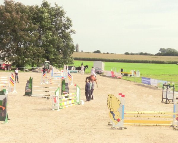 Springreitturnier Hohburg 2021