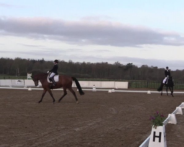 Reitturnier Bremervörde/Reitsportzentrum 2021