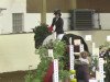 jumper Lazzaro 4 (Hanoverian, 2003, from Landor S)