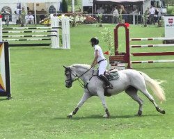 jumper Fraeulein Wunder 5 (Hanoverian, 2004, from For Feeling)