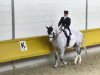 dressage horse Royal Ulan (Oldenburg, 1999, from Royal Diamond)