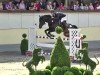 jumper Castro Coeur (Hanoverian, 2003, from Conteur)