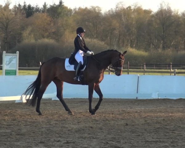 Reitturnier Bremervörde/Reitsportzentrum 2021
