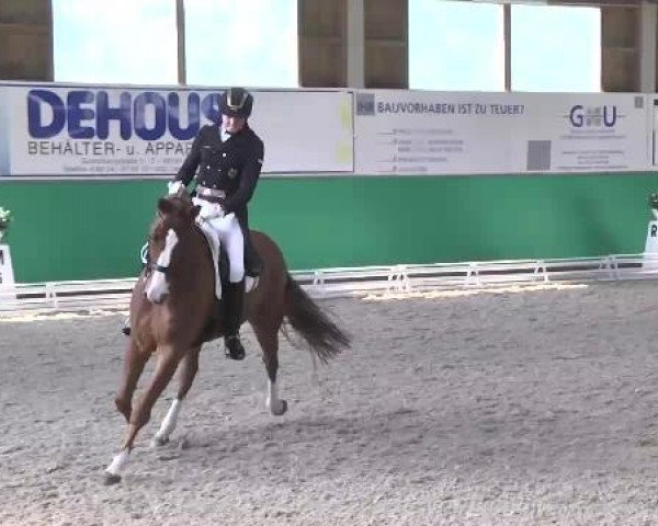 dressage horse Harmony's Depardieu (Hanoverian, 2006, from Don Frederico)