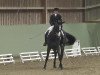 dressage horse Sedona 5 (Hanoverian, 2005, from Sir Donnerhall I)