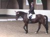 dressage horse Runa ma belle (Württemberger, 2006, from Rubinero 2)