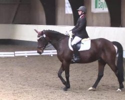 dressage horse Runa ma belle (Württemberger, 2006, from Rubinero 2)