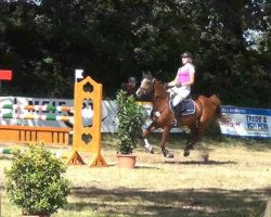 jumper Old Chaps Ju. (German Riding Pony, 2003, from Old Chap)