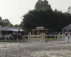 jumper Loxley H (Oldenburg, 2006, from Ludwig von Bayern 168 FIN)