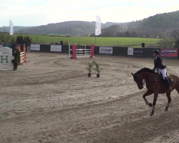 Reitturnier Lindlar-Süttenbach 2021