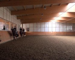 dressage horse Rubinio 29 (Hanoverian, 2003, from Rohdiamant)