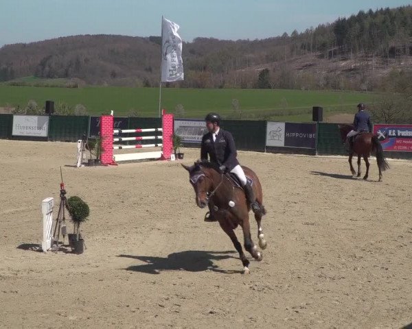 Reitturnier Lindlar-Süttenbach 2021