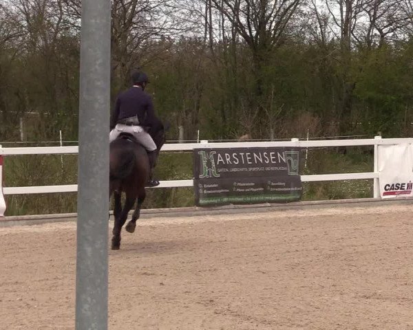 Reitturnier Ladelund 2021