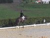 dressage horse Felicitas (Westphalian, 2004, from Florestan I)