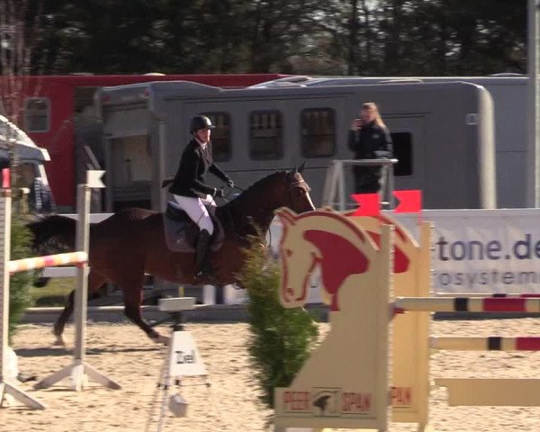 Reitturnier Ladelund 2021