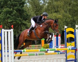 Springpferd Chlo' TSP (Holsteiner, 2016, von Connor 48)