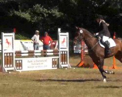 jumper Contero F (Hanoverian, 2002, from Contendro I)