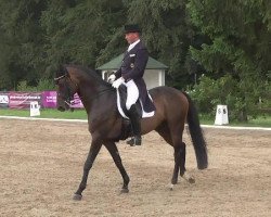 dressage horse Lapagenos (Hanoverian, 2006, from Lauries Crusador xx)