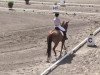 dressage horse Martini Bianco 3 (Hanoverian, 2006, from Matchos As)