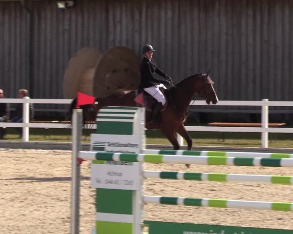 Reitturnier Ladelund 2021