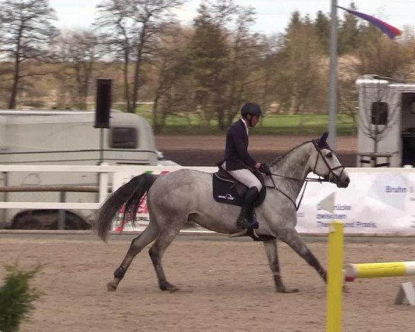 Reitturnier Ladelund 2021