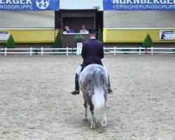 dressage horse Da Vinci (Hanoverian, 2002, from Democraat)