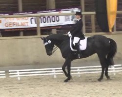 dressage horse Fleure WR (Oldenburg, 2005, from French Kiss)