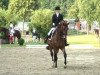 dressage horse Rubin Hit (Oldenburg, 2004, from Rubin Royal OLD)